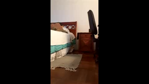 antonino85 online show from February 20, 9:48 pm