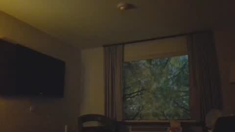 Daddy online show from November 8, 4:56 am