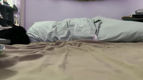 cowboy online show from December 4, 9:29 am