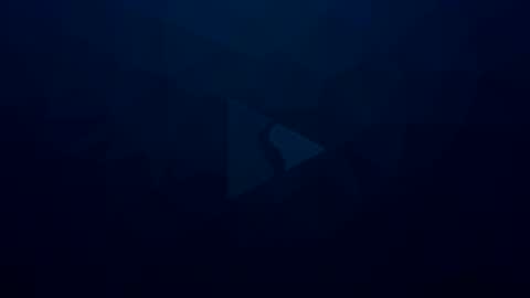 Apolo online show from January 4, 4:11 pm