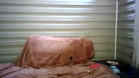 Snapshot of aprilanna chatting on March 4, 6:19 am AnnaApril420 online show from March 4, 6:19 am