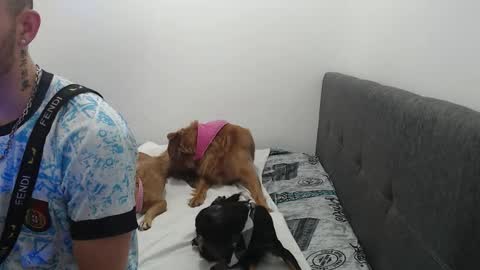 ariana_esteban07 online show from February 6, 10:29 am