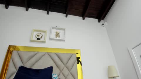  ARI  online show from January 14, 9:35 am