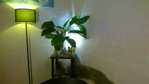 Snapshot of arianna_fox_devaxx chatting on February 16, 3:58 am Your love arianna online show from February 16, 3:58 am