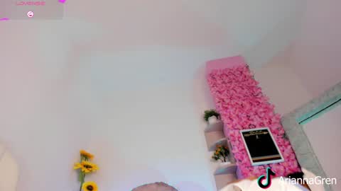 Arianna online show from December 23, 7:20 pm