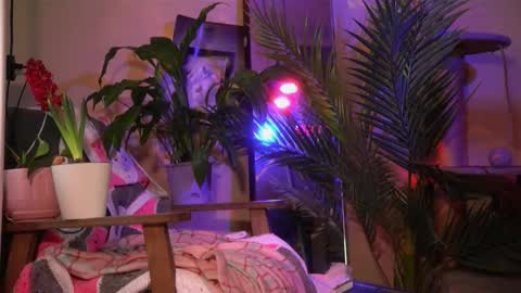 Snapshot of arianna_richi chatting on March 20, 6:40 am Olivka online show from March 20, 6:40 am