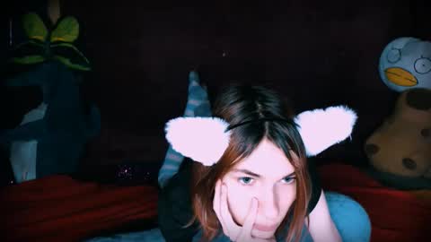 Snapshot of arielpinkcat chatting on November 23, 1:38 am arielpinkcat online show from November 23, 1:38 am