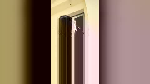 arilavish online show from April 11, 5:34 am