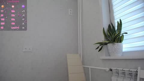 arinamir online show from September 23, 1:30 am