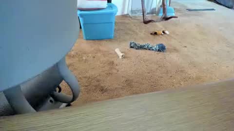 armalite16 online show from October 12, 1:32 pm