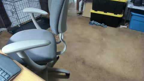 armalite16 online show from January 16, 5:11 am