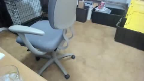 armalite16 online show from January 18, 3:32 am