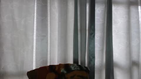 Snapshot of armando_2002 chatting on December 16, 5:07 pm ARMANDO online show from December 16, 5:07 pm