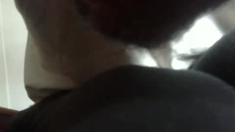 Snapshot of arteblazze chatting on February 9, 5:06 pm Arteblazze not daddy boy bitch or nigga online show from February 9, 5:06 pm