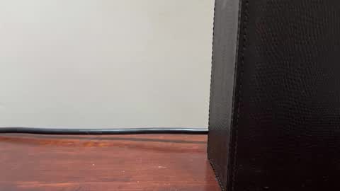 artisterotic online show from March 1, 9:55 am