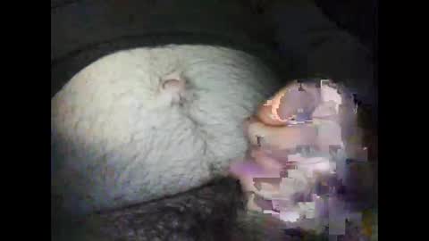 rocco online show from January 12, 5:03 am