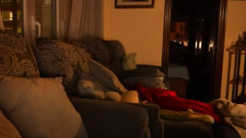 Troy online show from January 15, 6:08 pm