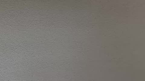 ash123400000 online show from February 12, 10:27 pm