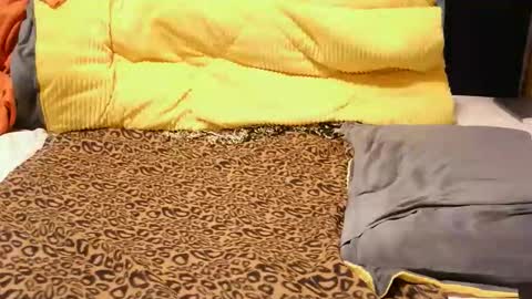 ashlery  online show from November 17, 4:18 am