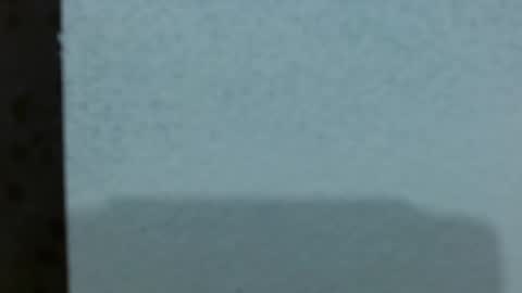  Ashley online show from March 6, 3:25 am