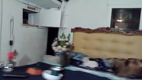 asianladyboy888 online show from February 22, 4:05 pm