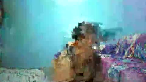 Snapshot of asiansexygirlxoxo chatting on April 26, 4:26 pm ann online show from April 26, 4:26 pm