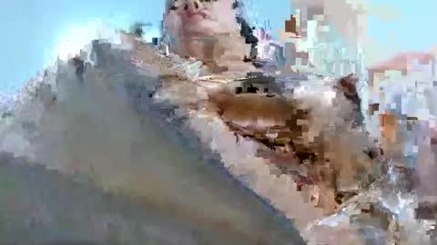 Tabby online show from March 2, 2:57 pm