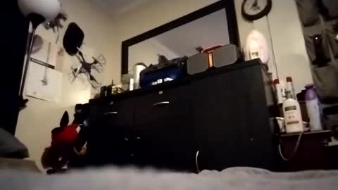 askme2shou online show from November 27, 9:33 am