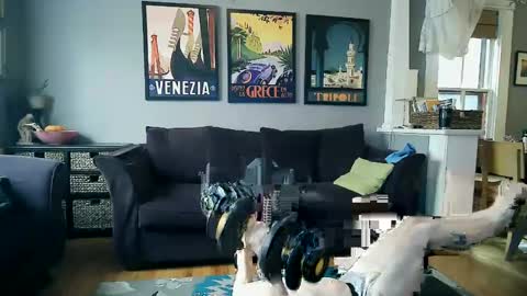 assmaster_6100 online show from February 11, 8:52 pm