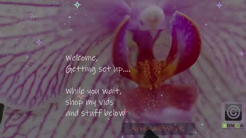 Atrena online show from January 15, 2:38 am