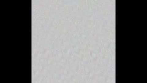 Auris online show from February 1, 2:43 am