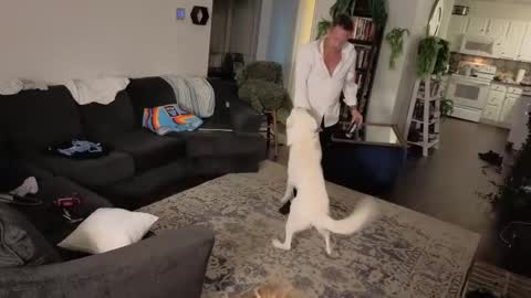 Snapshot of auroraandorion chatting on October 16, 11:28 pm Aurora and Orion online show from October 16, 11:28 pm