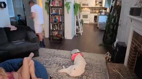 Snapshot of auroraandorion chatting on November 3, 10:10 pm Aurora and Orion online show from November 3, 10:10 pm