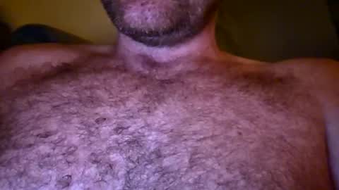 Snapshot of aussie_dadbod10 chatting on February 12, 12:00 pm aussie_dadbod10 online show from February 12, 12:00 pm