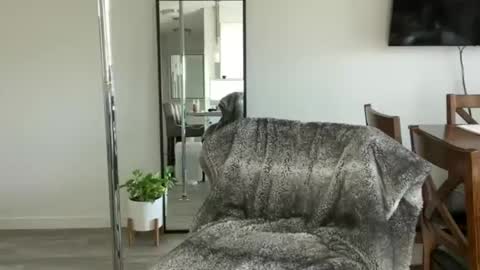 Snapshot of ava_petite_ chatting on April 15, 7:58 pm Little Ava online show from April 15, 7:58 pm