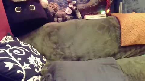 raven blue online show from December 12, 5:42 am