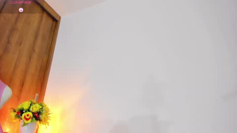 Snapshot of babybriexxx_ chatting on January 27, 1:48 am Brianna online show from January 27, 1:48 am