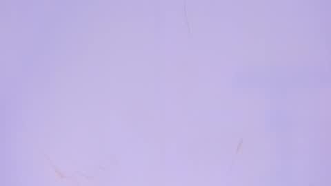 Snapshot of babyvale_ chatting on May 10, 8:47 pm Valentina online show from May 10, 8:47 pm