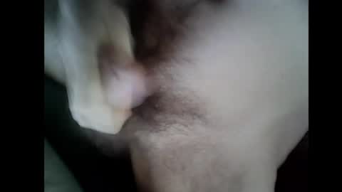 Baghira online show from December 14, 10:42 am