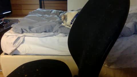 bahn92 online show from March 11, 6:30 am