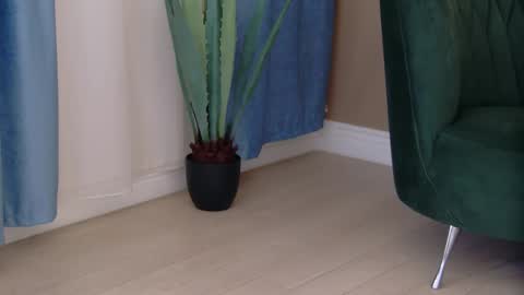 bailey_rush online show from December 19, 4:14 pm