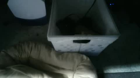 boton online show from November 10, 9:19 am