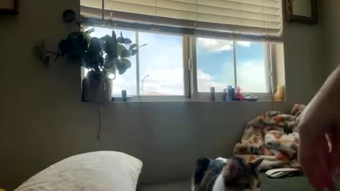 Snapshot of bambi_rae02 chatting on May 5, 10:07 pm Bambi online show from May 5, 10:07 pm