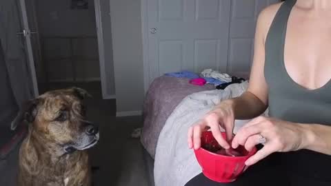 Snapshot of bambifarrina chatting on January 18, 5:11 am bambifarrina online show from January 18, 5:11 am