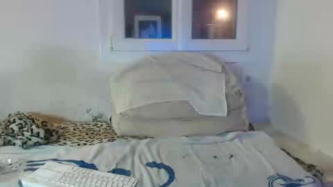 Snapshot of bambino6060 chatting on December 2, 4:42 pm bambino6060 online show from December 2, 4:42 pm