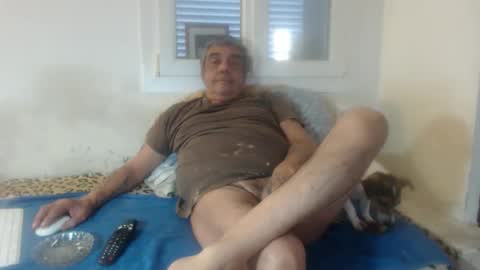 Snapshot of bambino6060 chatting on November 15, 2:46 pm bambino6060 online show from November 15, 2:46 pm