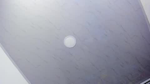 Barbara online show from February 11, 3:40 pm