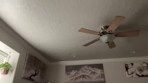 chicka online show from March 10, 11:10 pm