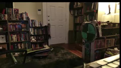 Wraith online show from February 22, 5:30 am