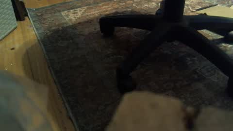 bartender3127 online show from January 16, 4:18 pm